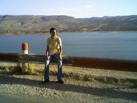 willi williu